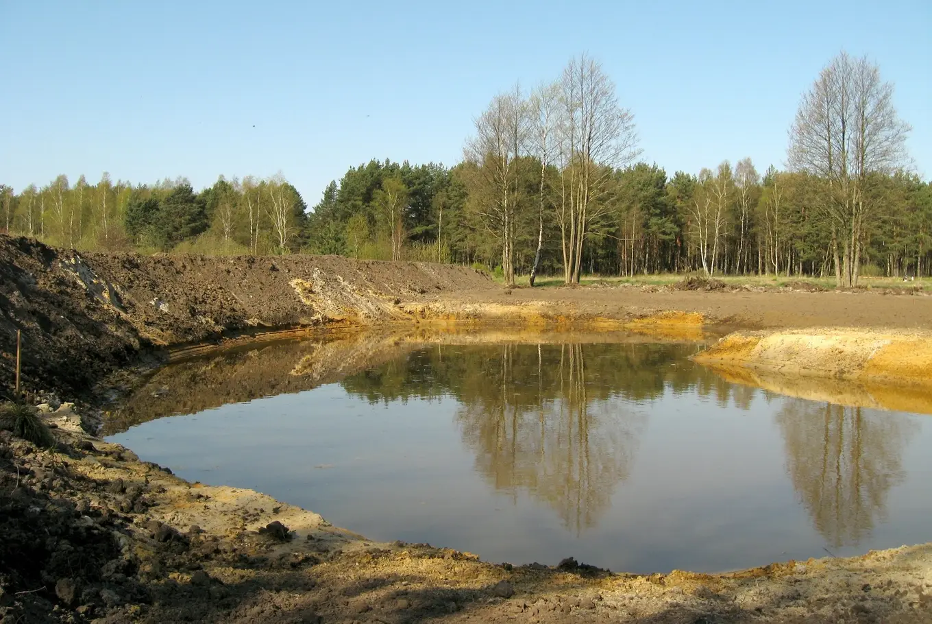 budowa stawu kąpielowego